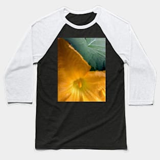 Pumpkin Blossom & Foliage Baseball T-Shirt